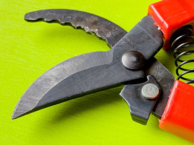 Canlı kırmızı saplı siyah bir bahçe budama makinesi kullanıma hazır, işlevselliği bir renk patlaması ile harmanlıyor. Bu kullanışlı araç kolay ve stil ile bahçıvanlık görevleri ele almak için hazırlanmış.