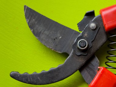 Canlı kırmızı saplı siyah bir bahçe budama makinesi kullanıma hazır, işlevselliği bir renk patlaması ile harmanlıyor. Bu kullanışlı araç kolay ve stil ile bahçıvanlık görevleri ele almak için hazırlanmış.