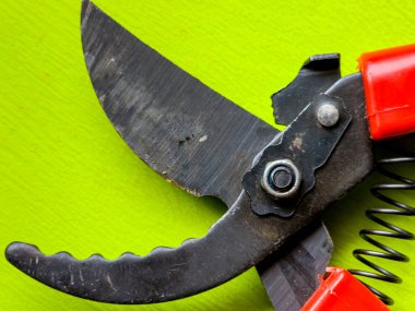 Canlı kırmızı saplı siyah bir bahçe budama makinesi kullanıma hazır, işlevselliği bir renk patlaması ile harmanlıyor. Bu kullanışlı araç kolay ve stil ile bahçıvanlık görevleri ele almak için hazırlanmış.