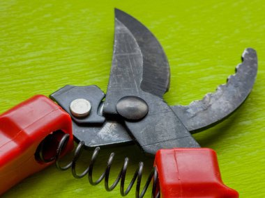 Canlı kırmızı saplı siyah bir bahçe budama makinesi kullanıma hazır, işlevselliği bir renk patlaması ile harmanlıyor. Bu kullanışlı araç kolay ve stil ile bahçıvanlık görevleri ele almak için hazırlanmış.