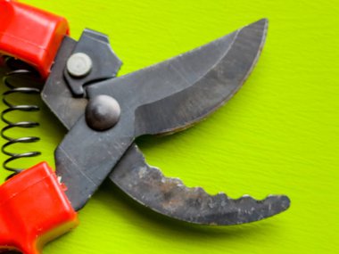 Canlı kırmızı saplı siyah bir bahçe budama makinesi kullanıma hazır, işlevselliği bir renk patlaması ile harmanlıyor. Bu kullanışlı araç kolay ve stil ile bahçıvanlık görevleri ele almak için hazırlanmış.