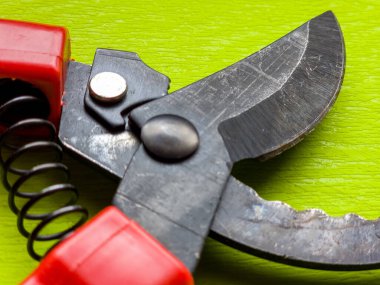 Canlı kırmızı saplı siyah bir bahçe budama makinesi kullanıma hazır, işlevselliği bir renk patlaması ile harmanlıyor. Bu kullanışlı araç kolay ve stil ile bahçıvanlık görevleri ele almak için hazırlanmış.