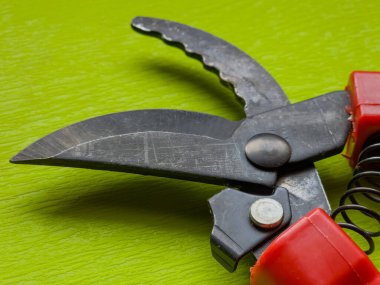 Canlı kırmızı saplı siyah bir bahçe budama makinesi kullanıma hazır, işlevselliği bir renk patlaması ile harmanlıyor. Bu kullanışlı araç kolay ve stil ile bahçıvanlık görevleri ele almak için hazırlanmış.