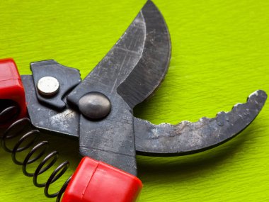 Canlı kırmızı saplı siyah bir bahçe budama makinesi kullanıma hazır, işlevselliği bir renk patlaması ile harmanlıyor. Bu kullanışlı araç kolay ve stil ile bahçıvanlık görevleri ele almak için hazırlanmış.