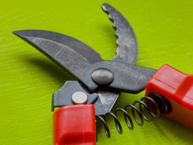 Canlı kırmızı saplı siyah bir bahçe budama makinesi kullanıma hazır, işlevselliği bir renk patlaması ile harmanlıyor. Bu kullanışlı araç kolay ve stil ile bahçıvanlık görevleri ele almak için hazırlanmış.