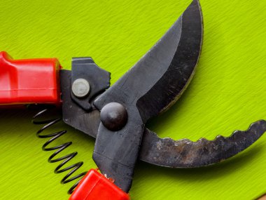 Canlı kırmızı saplı siyah bir bahçe budama makinesi kullanıma hazır, işlevselliği bir renk patlaması ile harmanlıyor. Bu kullanışlı araç kolay ve stil ile bahçıvanlık görevleri ele almak için hazırlanmış.