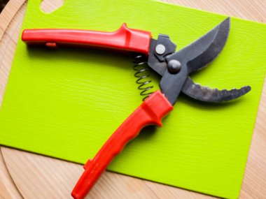 Canlı kırmızı saplı siyah bir bahçe budama makinesi kullanıma hazır, işlevselliği bir renk patlaması ile harmanlıyor. Bu kullanışlı araç kolay ve stil ile bahçıvanlık görevleri ele almak için hazırlanmış.