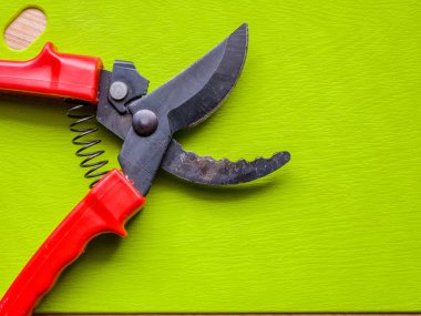 Canlı kırmızı saplı siyah bir bahçe budama makinesi kullanıma hazır, işlevselliği bir renk patlaması ile harmanlıyor. Bu kullanışlı araç kolay ve stil ile bahçıvanlık görevleri ele almak için hazırlanmış.