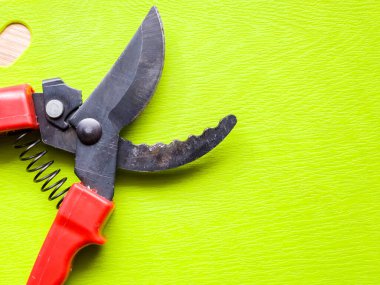 Canlı kırmızı saplı siyah bir bahçe budama makinesi kullanıma hazır, işlevselliği bir renk patlaması ile harmanlıyor. Bu kullanışlı araç kolay ve stil ile bahçıvanlık görevleri ele almak için hazırlanmış.