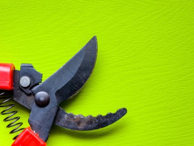 Canlı kırmızı saplı siyah bir bahçe budama makinesi kullanıma hazır, işlevselliği bir renk patlaması ile harmanlıyor. Bu kullanışlı araç kolay ve stil ile bahçıvanlık görevleri ele almak için hazırlanmış.