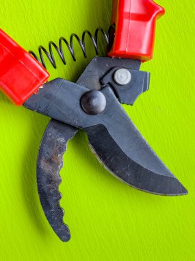 Canlı kırmızı saplı siyah bir bahçe budama makinesi kullanıma hazır, işlevselliği bir renk patlaması ile harmanlıyor. Bu kullanışlı araç kolay ve stil ile bahçıvanlık görevleri ele almak için hazırlanmış.