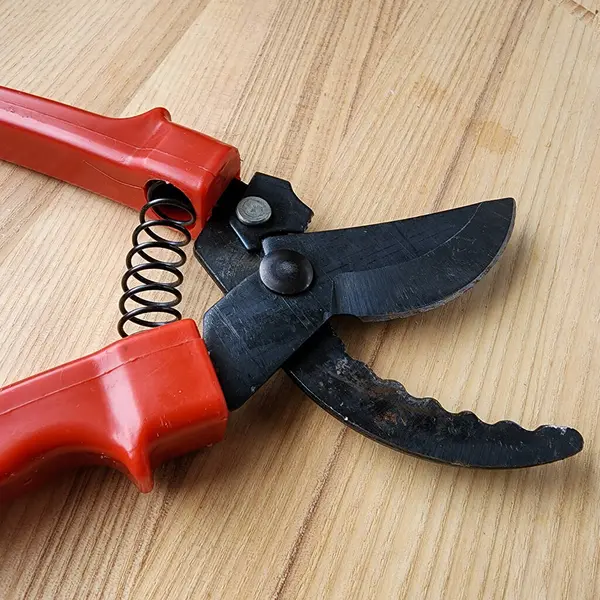 Canlı kırmızı saplı siyah bir bahçe budama makinesi kullanıma hazır, işlevselliği bir renk patlaması ile harmanlıyor. Bu kullanışlı araç kolay ve stil ile bahçıvanlık görevleri ele almak için hazırlanmış.