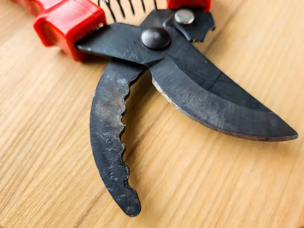 Canlı kırmızı saplı siyah bir bahçe budama makinesi kullanıma hazır, işlevselliği bir renk patlaması ile harmanlıyor. Bu kullanışlı araç kolay ve stil ile bahçıvanlık görevleri ele almak için hazırlanmış.