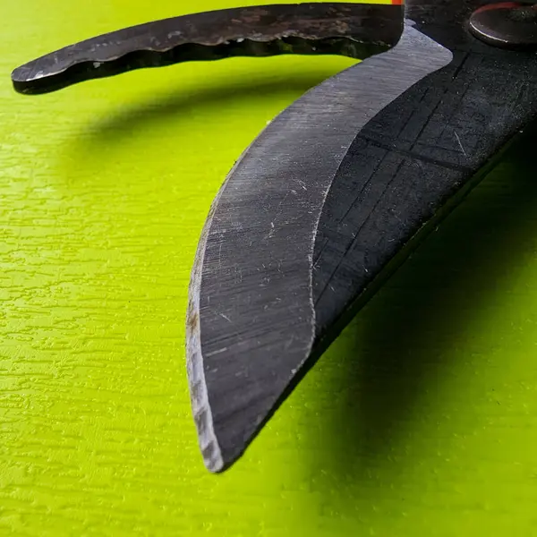 Canlı kırmızı saplı siyah bir bahçe budama makinesi kullanıma hazır, işlevselliği bir renk patlaması ile harmanlıyor. Bu kullanışlı araç kolay ve stil ile bahçıvanlık görevleri ele almak için hazırlanmış.