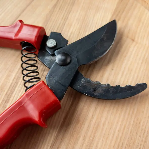 Canlı kırmızı saplı siyah bir bahçe budama makinesi kullanıma hazır, işlevselliği bir renk patlaması ile harmanlıyor. Bu kullanışlı araç kolay ve stil ile bahçıvanlık görevleri ele almak için hazırlanmış.