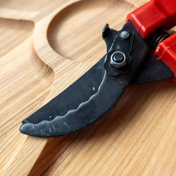 Canlı kırmızı saplı siyah bir bahçe budama makinesi kullanıma hazır, işlevselliği bir renk patlaması ile harmanlıyor. Bu kullanışlı araç kolay ve stil ile bahçıvanlık görevleri ele almak için hazırlanmış.