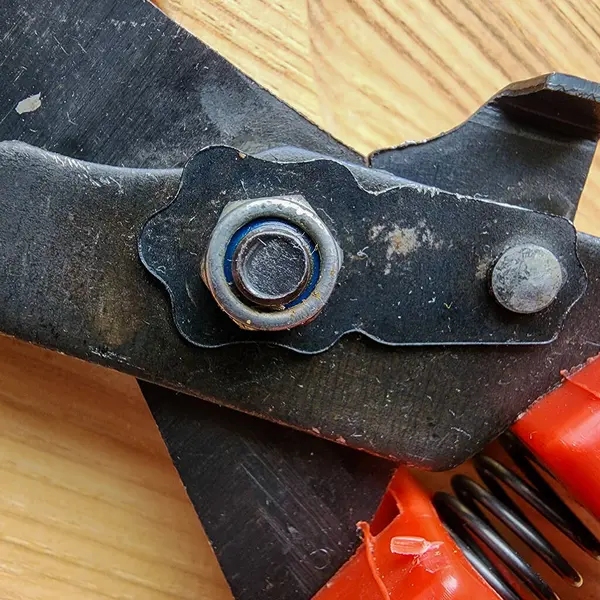 Canlı kırmızı saplı siyah bir bahçe budama makinesi kullanıma hazır, işlevselliği bir renk patlaması ile harmanlıyor. Bu kullanışlı araç kolay ve stil ile bahçıvanlık görevleri ele almak için hazırlanmış.