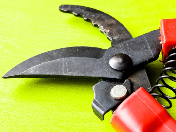 Canlı kırmızı saplı siyah bir bahçe budama makinesi kullanıma hazır, işlevselliği bir renk patlaması ile harmanlıyor. Bu kullanışlı araç kolay ve stil ile bahçıvanlık görevleri ele almak için hazırlanmış.