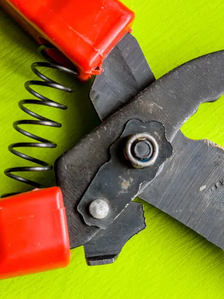 Canlı kırmızı saplı siyah bir bahçe budama makinesi kullanıma hazır, işlevselliği bir renk patlaması ile harmanlıyor. Bu kullanışlı araç kolay ve stil ile bahçıvanlık görevleri ele almak için hazırlanmış.