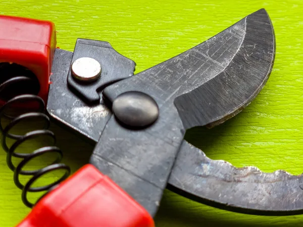 Canlı kırmızı saplı siyah bir bahçe budama makinesi kullanıma hazır, işlevselliği bir renk patlaması ile harmanlıyor. Bu kullanışlı araç kolay ve stil ile bahçıvanlık görevleri ele almak için hazırlanmış.