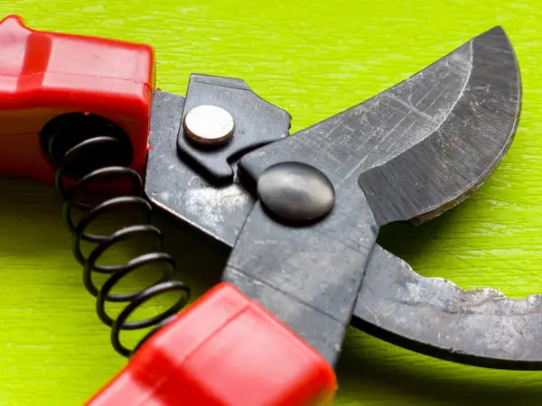 Canlı kırmızı saplı siyah bir bahçe budama makinesi kullanıma hazır, işlevselliği bir renk patlaması ile harmanlıyor. Bu kullanışlı araç kolay ve stil ile bahçıvanlık görevleri ele almak için hazırlanmış.