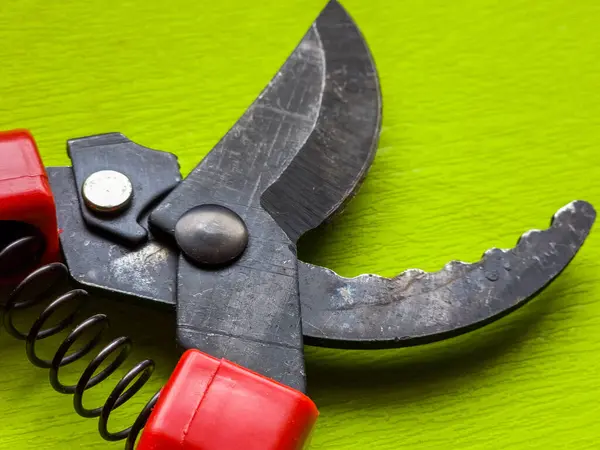 Canlı kırmızı saplı siyah bir bahçe budama makinesi kullanıma hazır, işlevselliği bir renk patlaması ile harmanlıyor. Bu kullanışlı araç kolay ve stil ile bahçıvanlık görevleri ele almak için hazırlanmış.