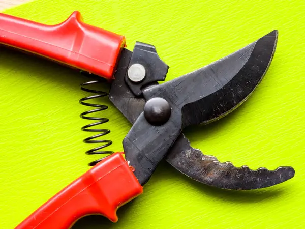 Canlı kırmızı saplı siyah bir bahçe budama makinesi kullanıma hazır, işlevselliği bir renk patlaması ile harmanlıyor. Bu kullanışlı araç kolay ve stil ile bahçıvanlık görevleri ele almak için hazırlanmış.