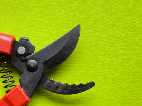 Canlı kırmızı saplı siyah bir bahçe budama makinesi kullanıma hazır, işlevselliği bir renk patlaması ile harmanlıyor. Bu kullanışlı araç kolay ve stil ile bahçıvanlık görevleri ele almak için hazırlanmış.