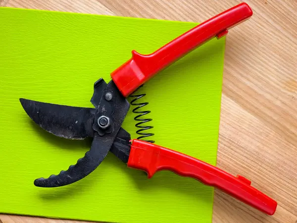 Canlı kırmızı saplı siyah bir bahçe budama makinesi kullanıma hazır, işlevselliği bir renk patlaması ile harmanlıyor. Bu kullanışlı araç kolay ve stil ile bahçıvanlık görevleri ele almak için hazırlanmış.