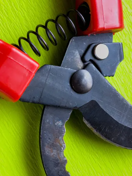 Canlı kırmızı saplı siyah bir bahçe budama makinesi kullanıma hazır, işlevselliği bir renk patlaması ile harmanlıyor. Bu kullanışlı araç kolay ve stil ile bahçıvanlık görevleri ele almak için hazırlanmış.