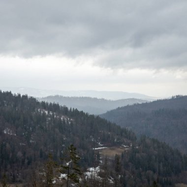 Güzel bir dağ manzarasının dikey görüntüsü. Arkaplanda karla kaplı dağlar.