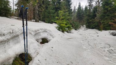 a view of a snow covered forest in the mountains