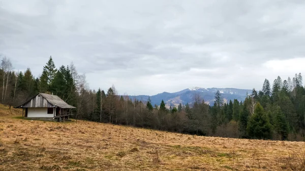Dağlarda ahşap bir evi olan güzel bir manzara