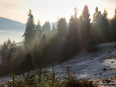 Dağlarda sabah güneşi.