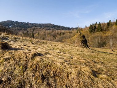 Çekler Cumhuriyeti 'nde ağaçlar ve ormanlarla kaplı bahar manzarası.