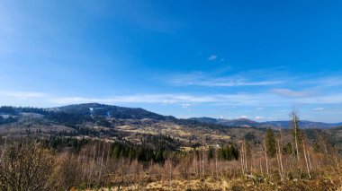 Ormanı olan güzel bir dağ manzarası