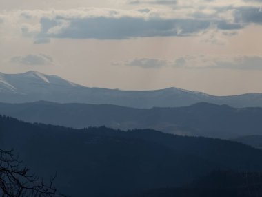 Ukrayna 'daki Karpatlar' daki dağlar. Dağlarda çok orman var..