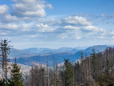 Avrupa 'da bahar mevsiminde Karpatların güzel manzarası