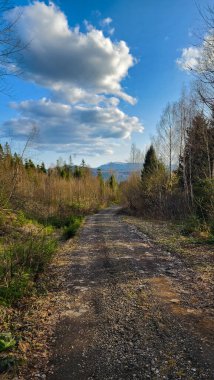 Sonbaharda dağlarda toprak yol