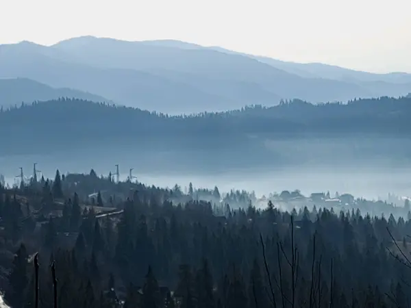Mlhavá Horská Krajina Lesem Stromy — Stock fotografie
