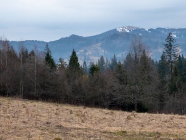 Karlı ve dağlı güzel kış manzarası