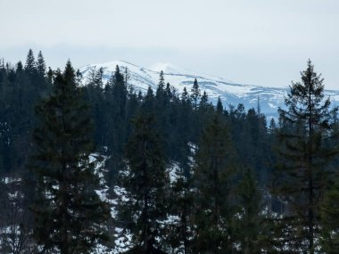 Dağların tepelerinde karla kaplı kış manzarası
