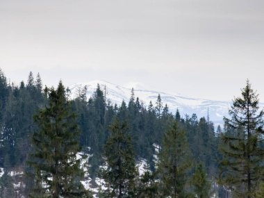 güzel kış manzara Dağları