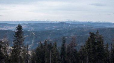 Arkasında ağaçlar olan güzel bir dağ manzarası.