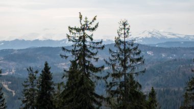 Karpatlar 'ın dağlarının manzarası