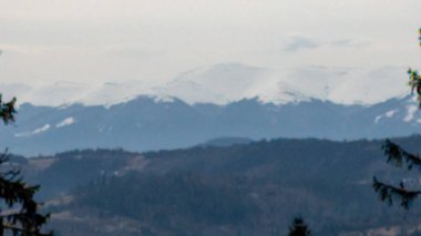 Karla kaplı ağaçlarla kaplı güzel kış manzarası