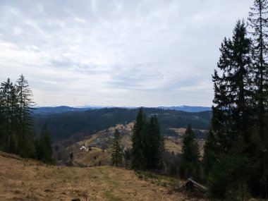 Dağları ve ağaçları olan güzel bir manzara.