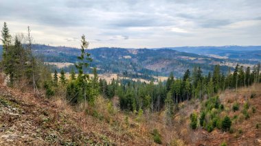 Güneşli bir sonbahar gününde dağ sırasının manzarası