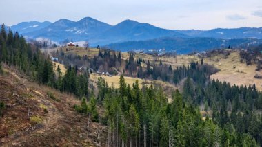 Ağaçları ve yeşil tepeleri olan güzel dağ manzarası