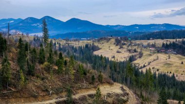 Karpatyadaki dağlar